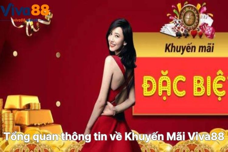 Tong-quan-thong-tin-ve-khuyen-mai-viva88