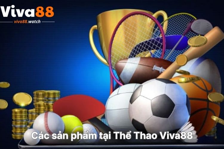 cac-san-pham-tai-the-thao-viva88