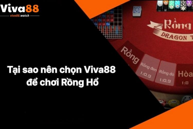 tai-sao-nen-chon-viva88-de-choi-rong-ho
