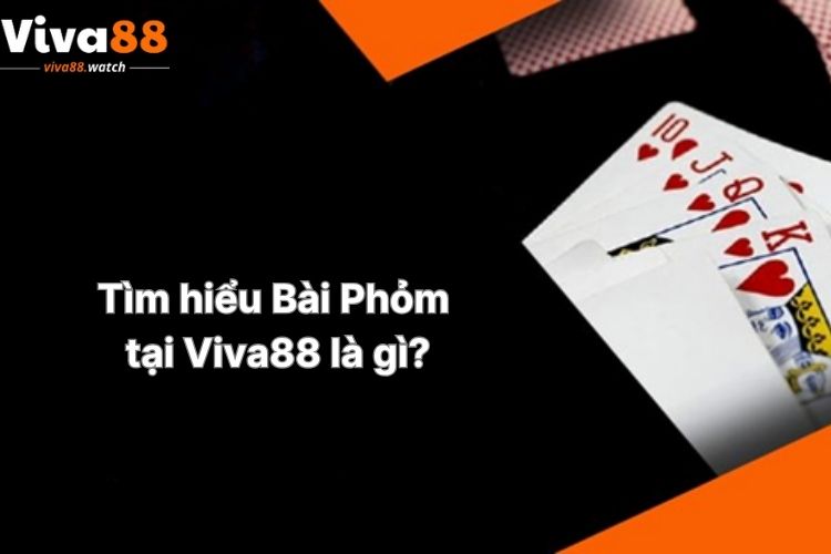 tim-hieu-bai-phom-tai-viva88-la-gi