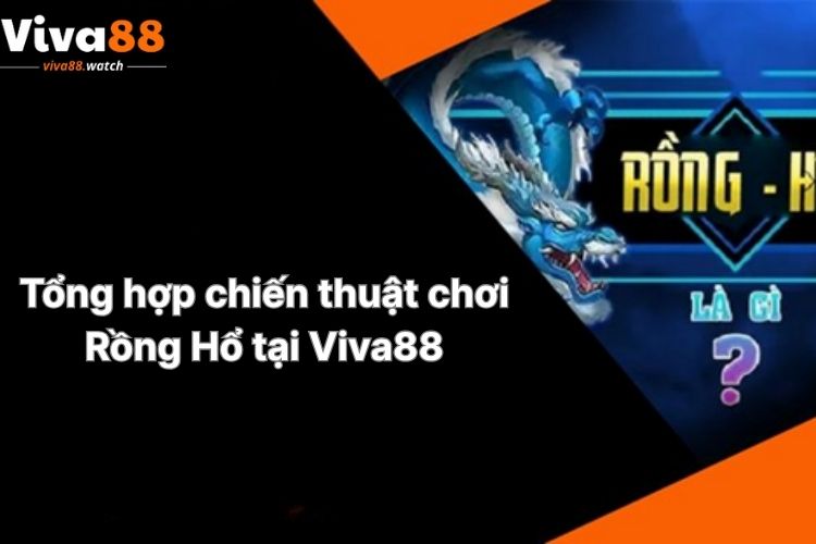 tong-hop-chien-thuat-choi-rong-ho-tai-viva88