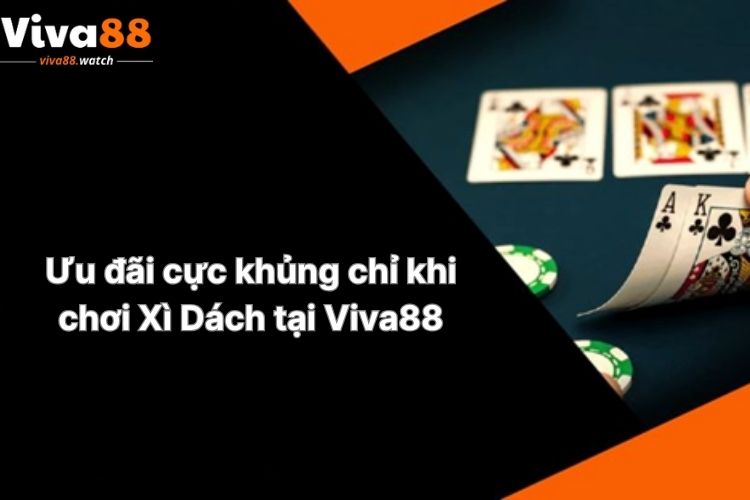 uu-dai-cuc-khung-chi-khi-choi-xi-dach-tai-viva88