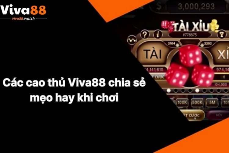 cac-cao-thu-viva88-chia-se-meo-hay-khi-choi