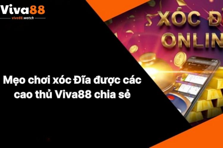 meo-choi-xoc-dia-duoc-cac-cao-thu-viva88-chia-se